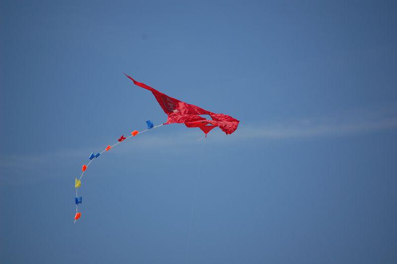 Le cri de l’oiseau (Rilke)