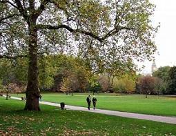 Trois mois de sursis pour l’avantage Scellier à 25% !