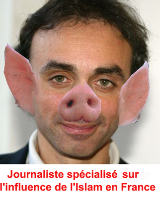 Mais arrêtez donc de nous raconter des conneries sur les banlieues, bordel  !