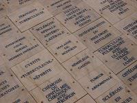 PARIS : Sophie Calle au Palais de Tokyo / Rachel, Monique