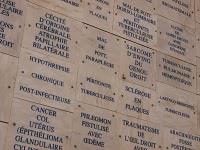 PARIS : Sophie Calle au Palais de Tokyo / Rachel, Monique