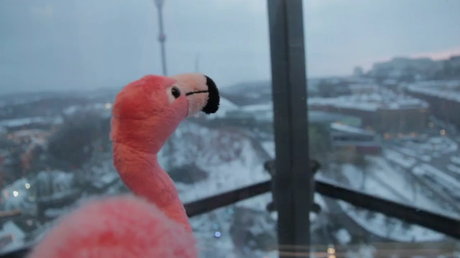 Inspirations - The Last Flamingo in Gothenburg