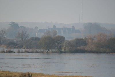 Marais de Goulaine début d' hiver .