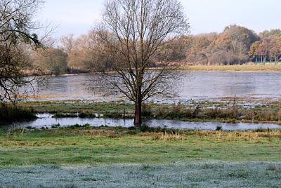 Marais de Goulaine début d' hiver .
