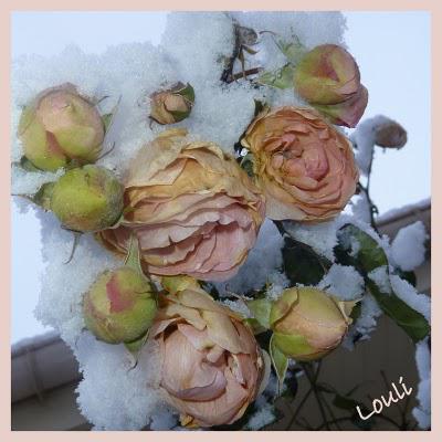 Ici aussi, elle aura fini par arriver !!Voici le spectacl...