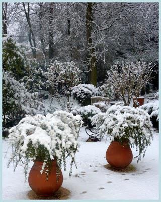 Ici aussi, elle aura fini par arriver !!Voici le spectacl...