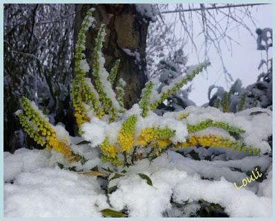 Ici aussi, elle aura fini par arriver !!Voici le spectacl...