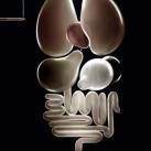 thumbs publicites anti tabac 016 Les Meilleures publicitÃ©s anti tabac (74 photos)