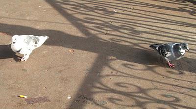 DéfifotoJim Jarmusch, rejets