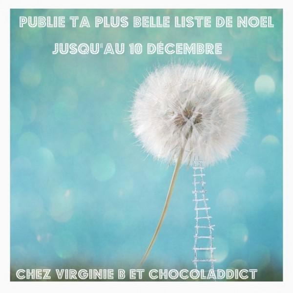 Défi mot de décembre