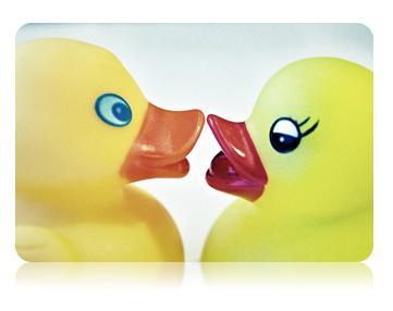 Comme un dimanche matin...