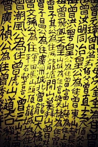 Tsang Tsou Choi, l’empereur de Kowloon