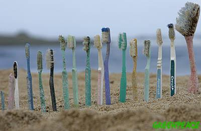 brosse à dent retrouvé sur une plage à Hawaï