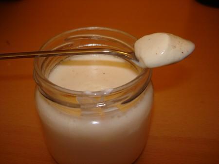 Yaourts vergeoise blonde-fève Tonka DSC05869