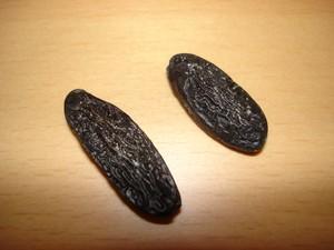 Yaourts vergeoise blonde-fève Tonka DSC05864