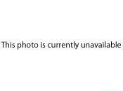 Républicains Mitt Romney remporte Michigan