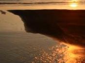 Erika Total coupable