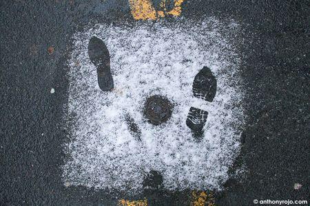 Photos - Quelques flocons sur Bordeaux... en attendant la vrai tempête !!! IMG_8353