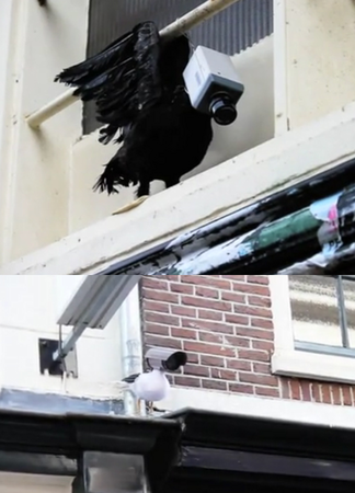 tumblr_lcl4ahpok51qz4s3wo1_500