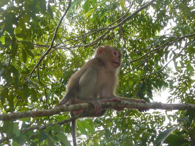 et pendant ce temps là