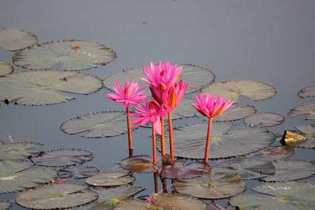et pendant ce temps là