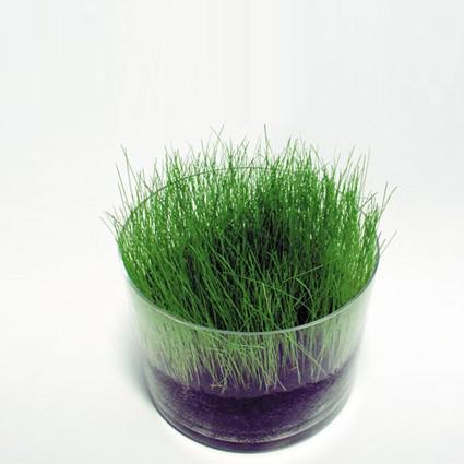 herber2 NOEL DESIGN ! (partie 2)