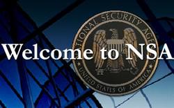 Google aura le soutien de la NSA