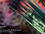 Dans Jardins Fontaine "Promenades d'automne"
