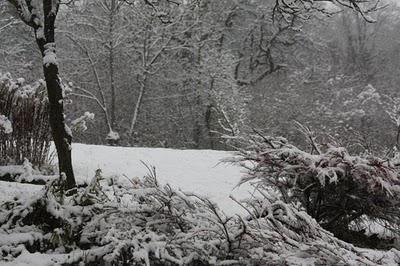 De la neige, dans le jardin