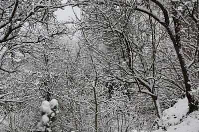 De la neige, dans le jardin