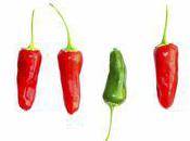 C'est quoi solution innovante