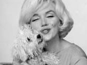 opinions chien amie Marilyn Monroe