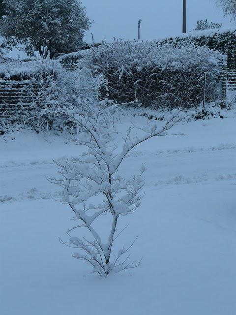 Bretagne sous la neige