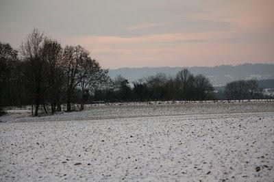 Neige en forêt et même au-delà