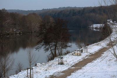 Neige en forêt et même au-delà