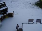 décembre 2010, derniers potins....