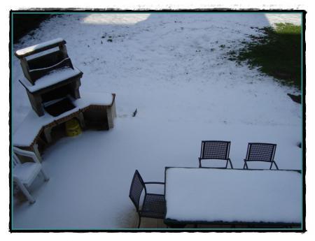 3 décembre 2010, les derniers potins....