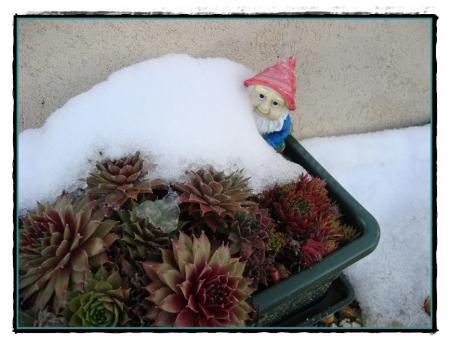 3 décembre 2010, les derniers potins....