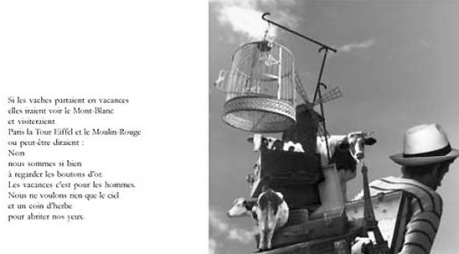 Une vache dans ma chambre liretfairelire3.png