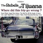 Where Did This Trip Go Wrong? - The Rebels of Tijuana