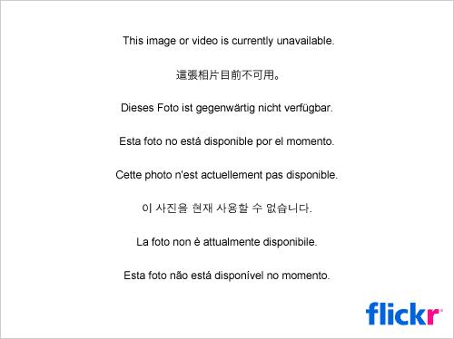 gui3 -1- la fille du consul