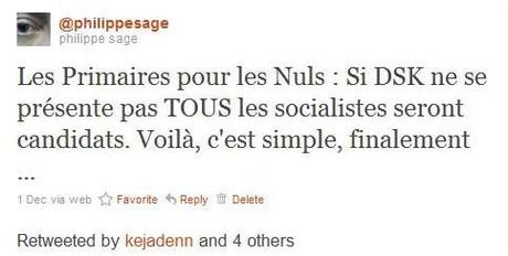 Le PS Pour Les Nuls.jpg