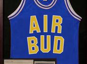 Fake Criterions Criterion abaisse critères d'édition