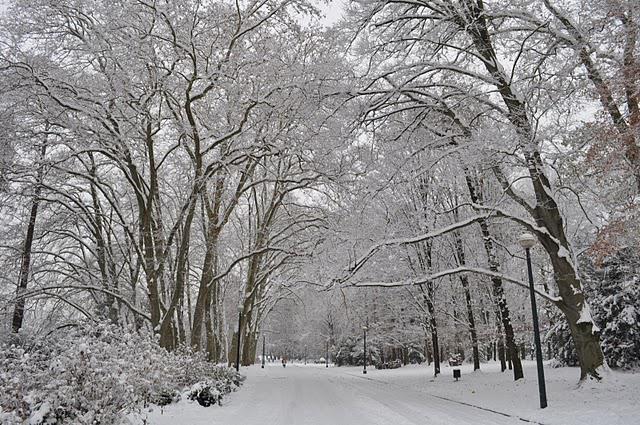 Lyon sous la neige...