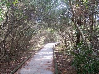 Le pinceau et le stylo deviennent parfois photos