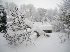 NEIGE 03 12 2010 008.jpg