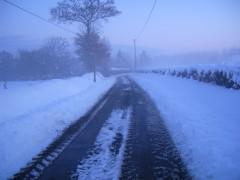 NEIGE 03 12 2010 022.jpg