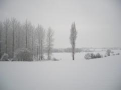 NEIGE 03 12 2010 002.jpg