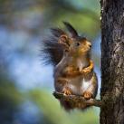 thumbs animaux droles du jour 5010 Animaux Droles du Jour (43 photos)