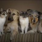 thumbs animaux droles du jour 5034 Animaux Droles du Jour (43 photos)